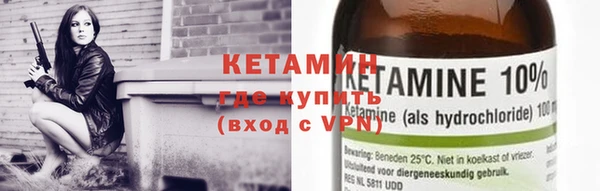 трава Аркадак