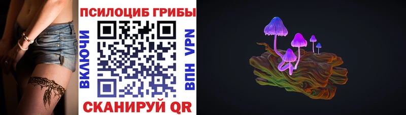 Псилоцибиновые грибы Psilocybine cubensis  Покров 